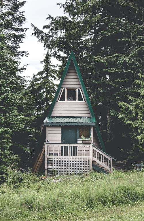 An A-frame cabin with a green roof and a small porch is nestled among tall trees in a lush, green forest.