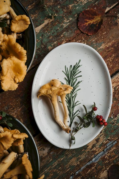 A white plate with a chanterelle mushroom, a sprig of rosemary, and some red berries arranged artistically on it, set on a rustic wooden table.