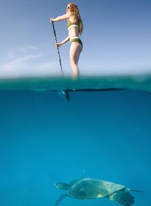 A person is hanging from a rope or branch over a bright blue body of water, with the scene split between sky and sea.