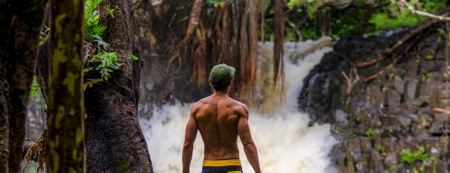 A man in swim trunks stands on a rock in a lush forest, facing a waterfall cascading into a river.