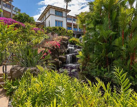 Lush garden with tropical plants and a small cascading waterfall leading to a building, bright blue sky and palm trees in a resort landscape.