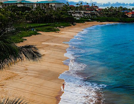 The image shows a sandy beach with gentle waves, a few buildings and palm trees in the background, and a person walking along the shoreline.