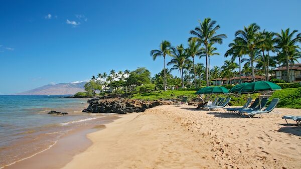 A tropical beach with golden sand, palm trees, calm blue water, and lounge chairs under green umbrellas along a rocky shoreline.