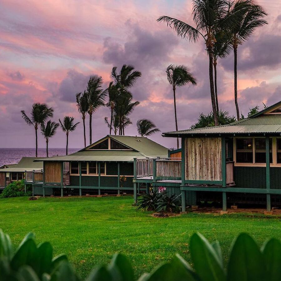 Hawaiian-style beachfront cottages with green lawns, palm trees, and a pink sunset over calm ocean water.