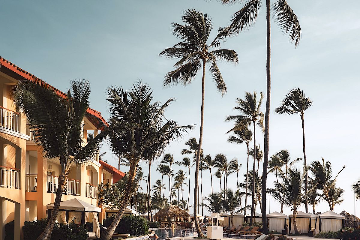 The image shows a luxurious resort pool area lined with lounge chairs and surrounded by tall palm trees, with a building on the left.